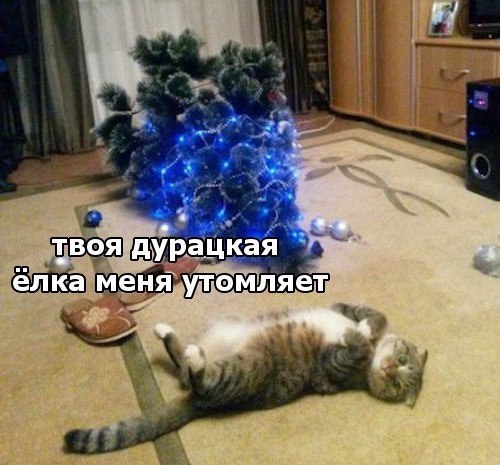  -  - 14  2017  03:30