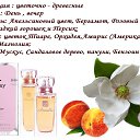  50
 20%  
- Argeville,  .        /  87770538027    aoa