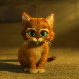 ����, ������, 24 ����