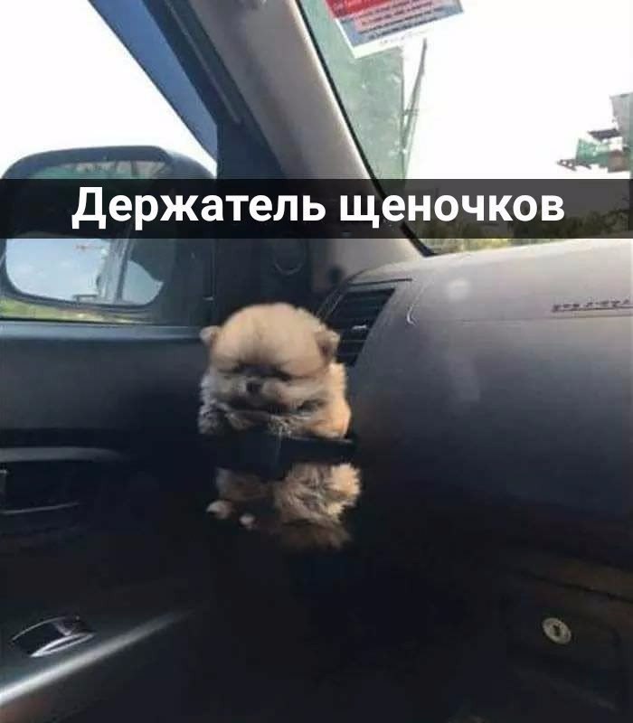   - 4  2018  03:38