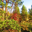 ���� �������, ��������, 47 ��� - ��������� 12 ����� 2018 � ������ �����������