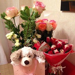 *****, ���������, 55 ���