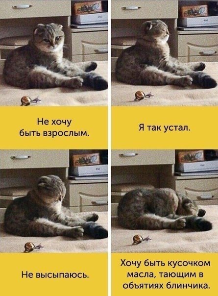   .#@bon