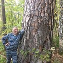 ���� ���������, �����������, 63 ���� - ��������� 2 ������ 2018 � ������ ���� ����������