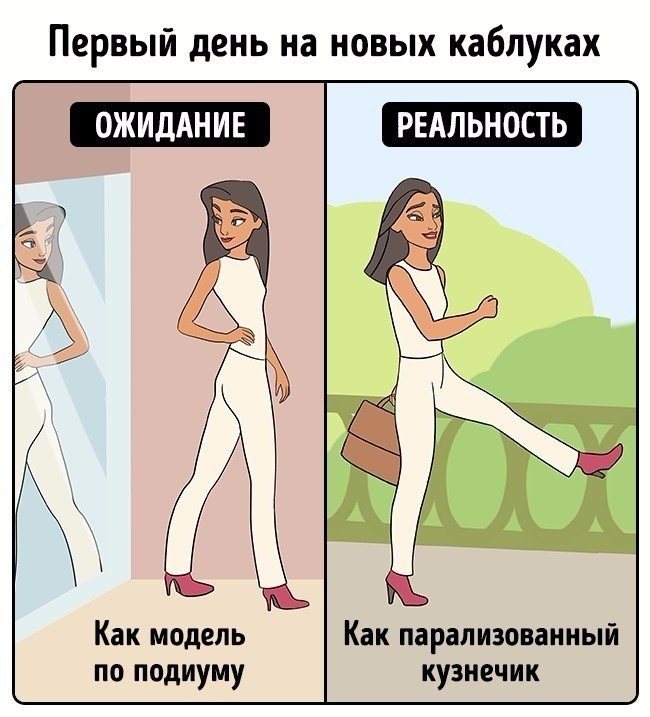   ,       .       . ... - 6