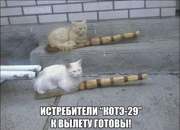 �������� �������� - 20 ������� 2018 � 18:45