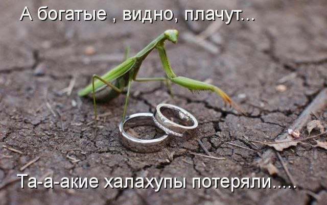 )))