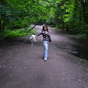  , -, 54  -  29  2018    