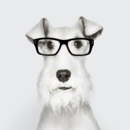 �, �����������, 39 ���