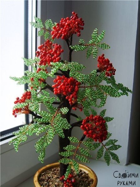 Фото из записи: