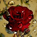 ���� ������, �������, 59 ��� - ��������� 21 ������� 2018 � ������ ���� ����������