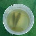 ���� �������, ������, 44 ���� - ��������� 29 ���� 2018 � ������ ���� ����������