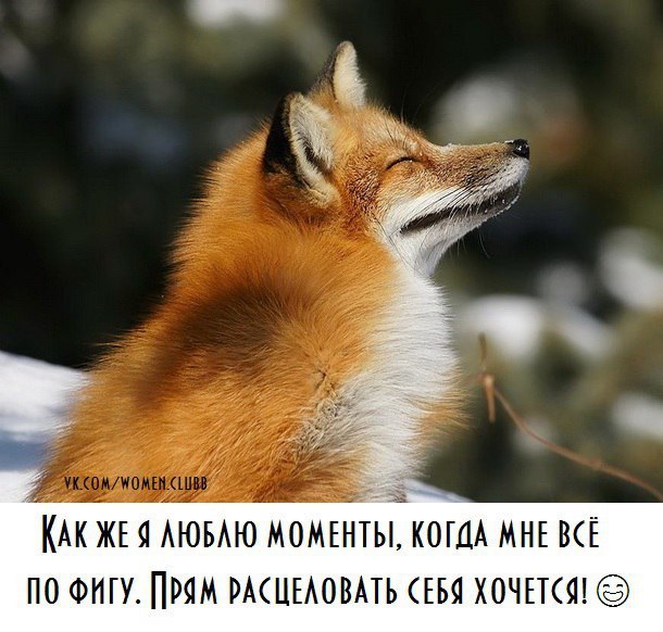   - 12  2018  20:32