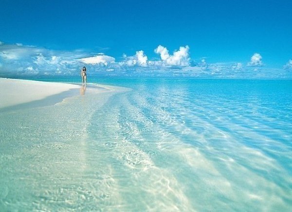   . The beach in the Maldives.