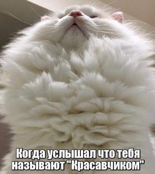  -  - 10  2018  03:30