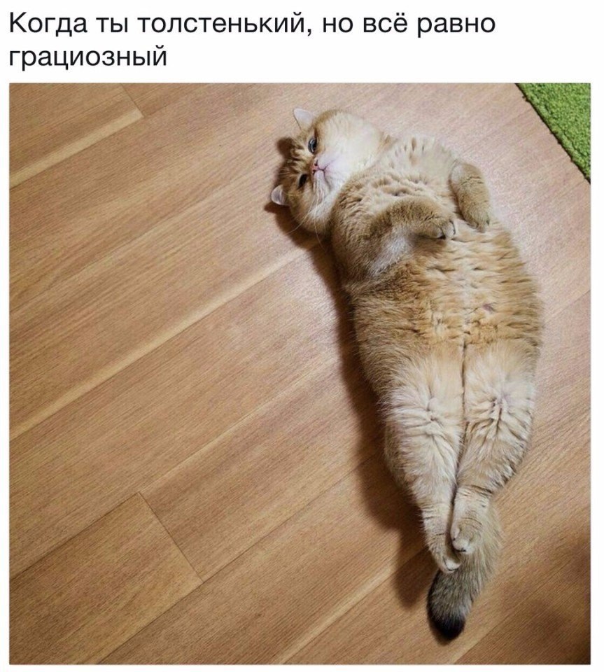    :D - 26  2018  04:06