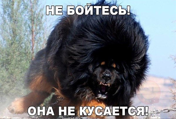     ! - 3