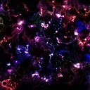 ���� ����, ��������������, 23 ���� - ��������� 6 ���� 2018 � ������ ������ ��������