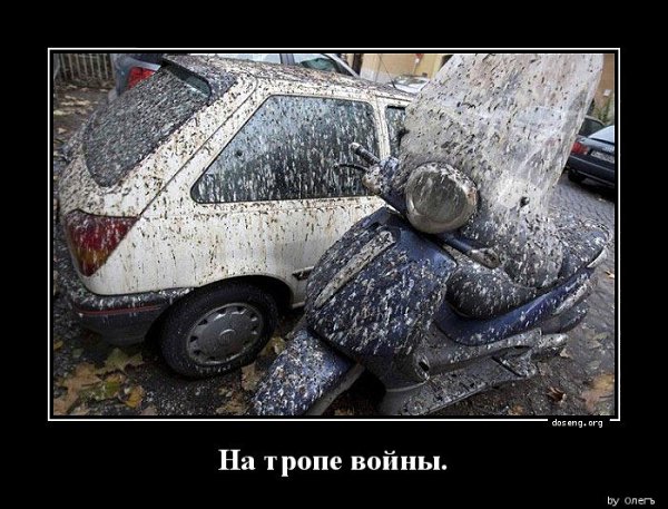 Сегодня на Фотостране День влюбленных пташек. По-моему, среди сотрудников ФС завелись орнитологи. ...