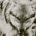 ���� ��������, �������, 56 ��� - ��������� 22 ������� 2018 � ������ ���� ����������