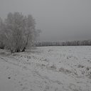  ,  -  3  2017    