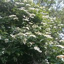 ���� ��������alex, �������, 55 ��� - ��������� 18 ����� 2018 � ������ ���� ����������