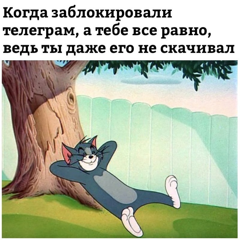   - 16  2018  02:55