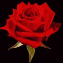 ���� Mara, �����, 58 ��� - ��������� 14 ������ 2018 � ������ ���� ����������