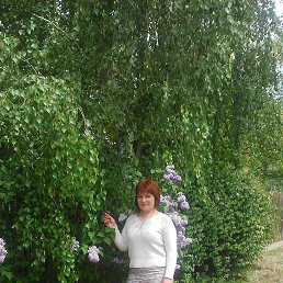 �����, ���������, 52 ����