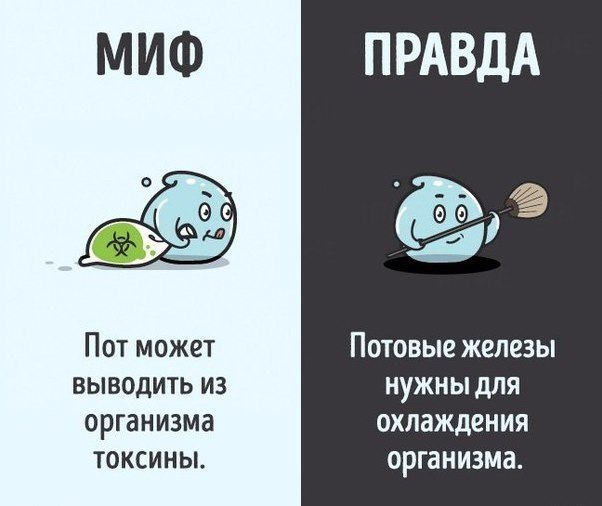 10    ,   .#@ican - 6