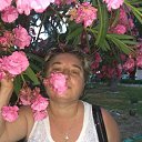  -, , 61  -  25  2018    