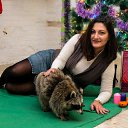 ���� �������, ������-��-����, 48 ��� - ��������� 11 ������� 2017 � ������ ���� ����������