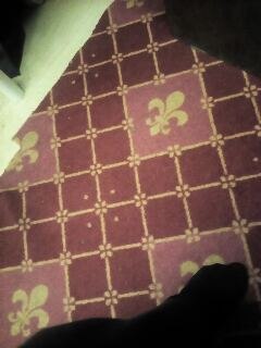 ���� ����, ������, 36 ��� - ��������� 24 ��� 2018