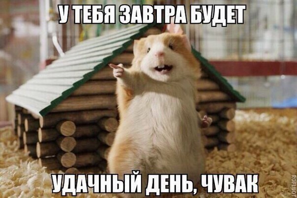 МЫСЛИ НА МИЛЛИОН - 24 января 2018 в 03:30