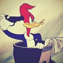 ���� �������, ����������, 33 ���� - ��������� 19 ������� 2018 � ������ ������ ��������