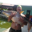 ���� ���������� ���, ������ - ��������� 12 ����� 2018 � ������ ���� ����������