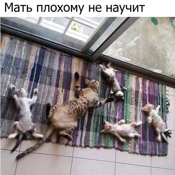 ����� � ������� - 2 ����� 2018 � 17:59