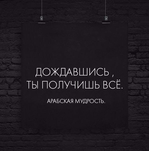  - 13  2017  03:50