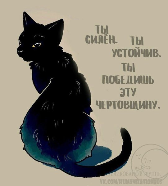   .#@ican - 8
