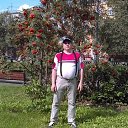 ���� �������, ��������, 50 ��� - ��������� 29 ������ 2017 � ������ ���� ����������