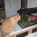 ���� Os, ������� - ��������� 30 ������ 2017 � ������ �������