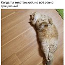 ���� ������, ������� - ��������� 23 ������� 2018 � ������ ������ ��������