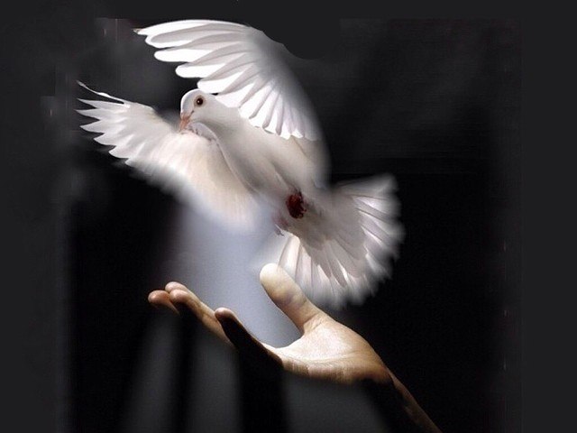  , ,  .     .  ,    ,  ...