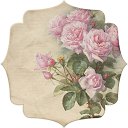 ���� ������, �����������, 40 ��� - ��������� 8 ������� 2018 � ������ ���� ����������