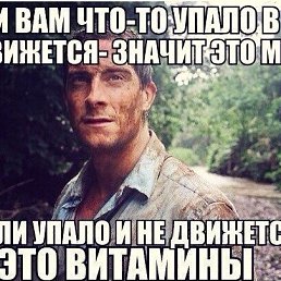 ����, �������, 47 ���