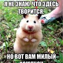 ���� �����, �����-��������� - ��������� 20 ����� 2018 � ������ ������ ��������