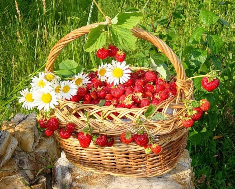   ....   .... "     ...