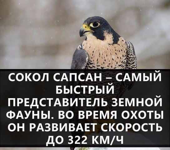   - 1  2018  02:43