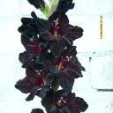 ���� �����, ������ - ��������� 13 ���� 2018 � ������ ���� ���������