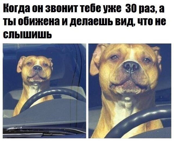 ***Victoria Viktorovna*** - 10 ������� 2017 � 17:27